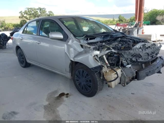 TOYOTA TOYOTA COROLLA LE