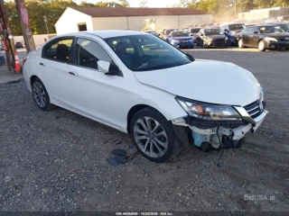 HONDA HONDA ACCORD SPORT