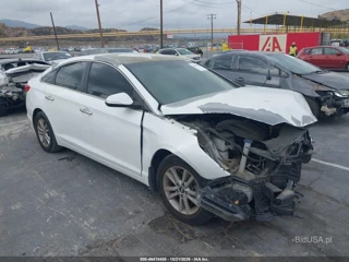 HYUNDAI HYUNDAI SONATA ECO