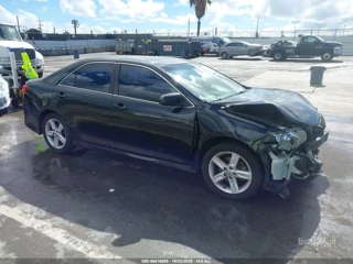TOYOTA TOYOTA CAMRY SE