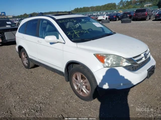 HONDA HONDA CR-V EX-L