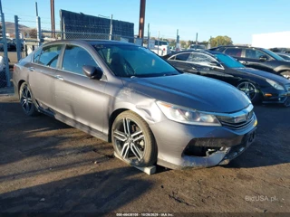 HONDA HONDA ACCORD SPORT