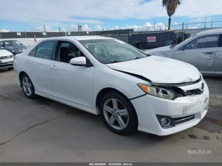 TOYOTA TOYOTA CAMRY SE