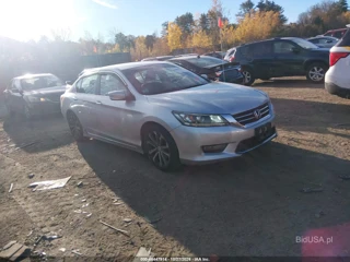 HONDA HONDA ACCORD SPORT