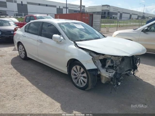 HONDA HONDA ACCORD EX-L
