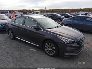 HYUNDAI HYUNDAI SONATA SPORT