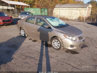 TOYOTA TOYOTA COROLLA LE