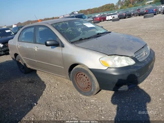 TOYOTA TOYOTA COROLLA LE