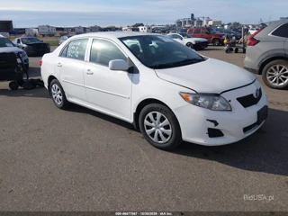 TOYOTA TOYOTA COROLLA LE