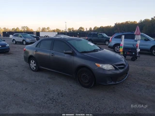 TOYOTA TOYOTA COROLLA LE