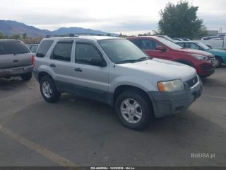 FORD FORD ESCAPE XLT