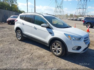 FORD FORD ESCAPE SE