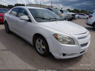 CHEVROLET CHEVROLET MALIBU 2LT