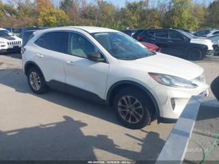 FORD FORD ESCAPE SE