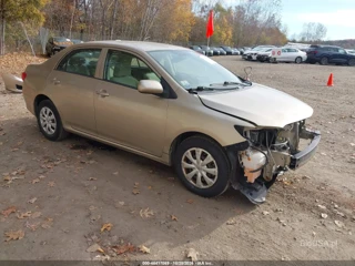 TOYOTA TOYOTA COROLLA LE
