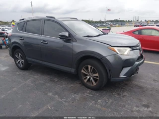 TOYOTA TOYOTA RAV4 XLE