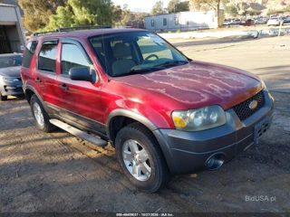 FORD FORD ESCAPE XLT/XLT SPORT