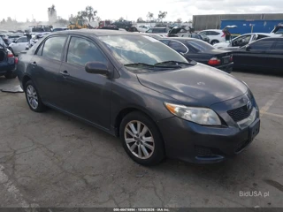 TOYOTA TOYOTA COROLLA LE