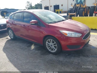 FORD FORD FOCUS SE